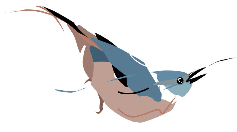 lints vector fugl