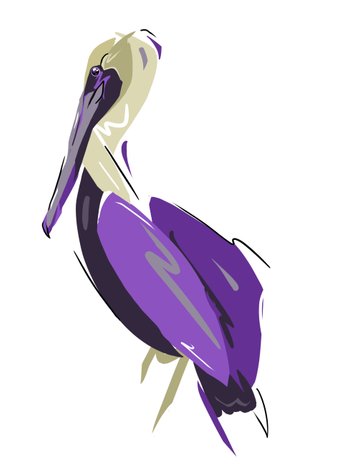 lints digital sketch pelican